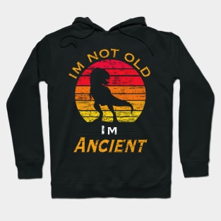 I’m not old I’m ancient Hoodie